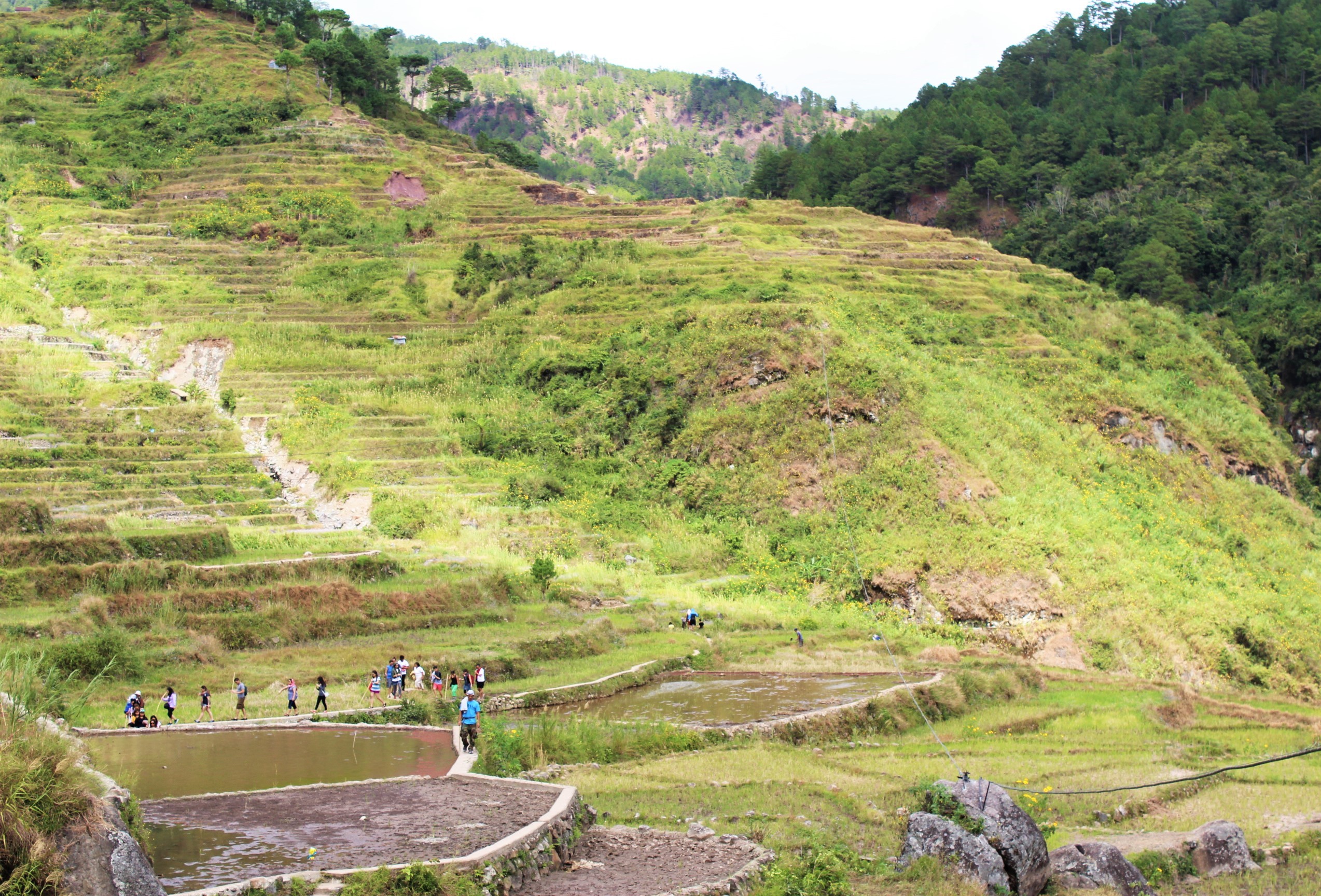 sagada-aguid-rice-terraces-bomod-ok-falls-2