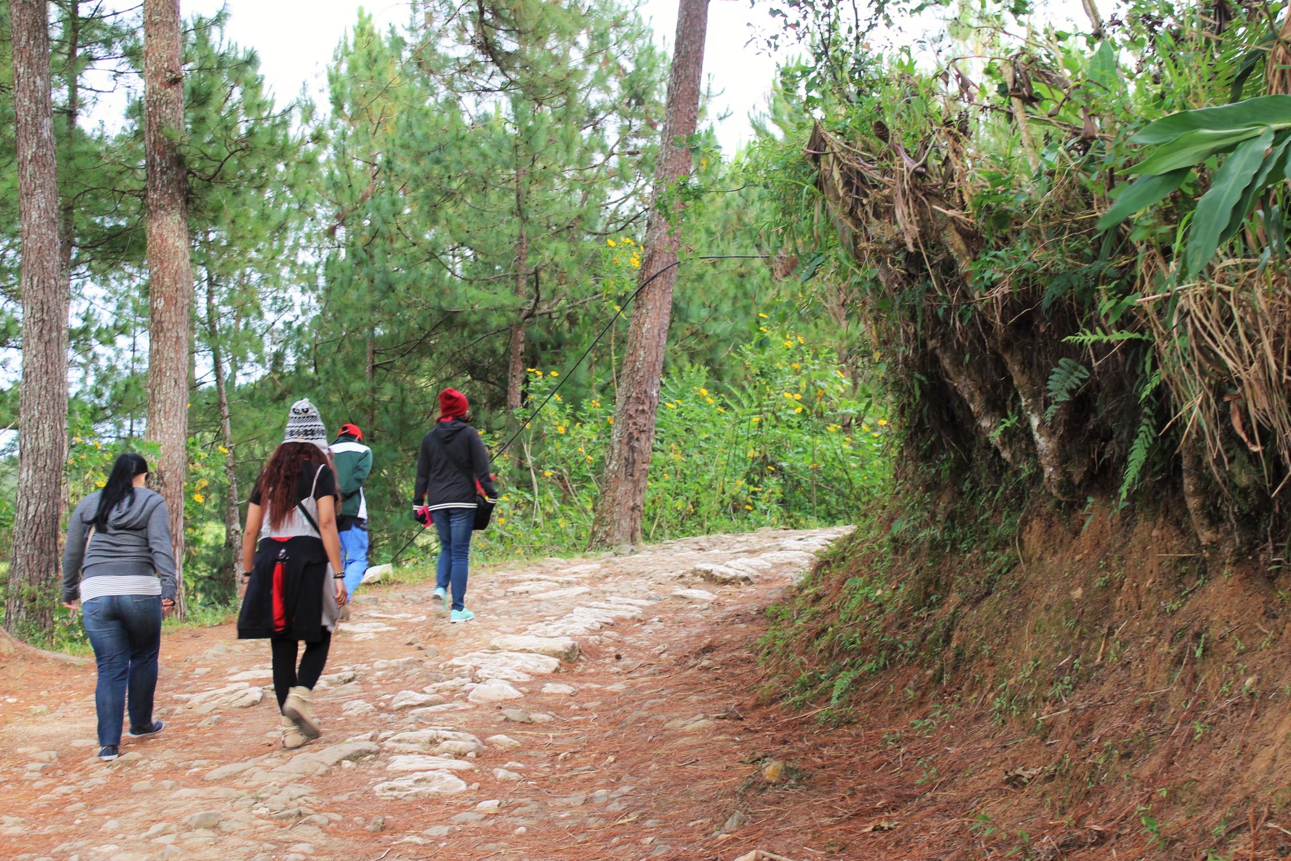 sagada-echo-valley-trail