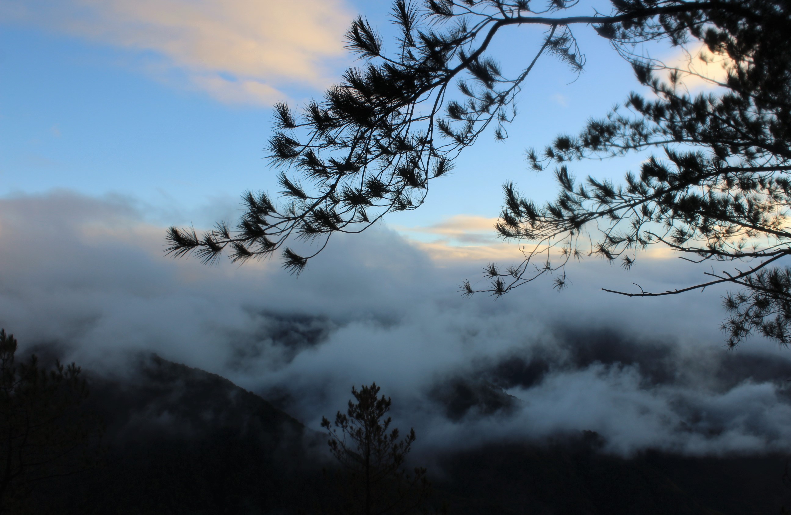 sagada-kiltepan-peak-viewpoint-sea-of-clouds